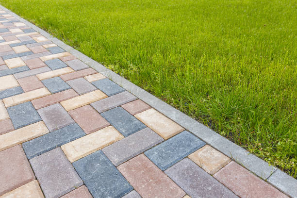 Best Local Driveway Pavers  in Haines City, FL
